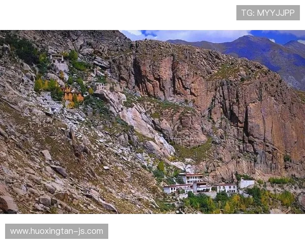 蒂博库尔图瓦的守门艺术与心灵力量探秘从球场巨人到精神领袖